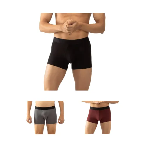 Image of Chromozome Men Trunk CZ 404 (Pack of 3) 