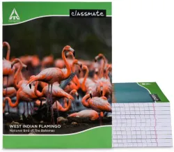 Classmate Regular Notebook Single Line 172 Pages (Multicolor, Pack of 12)