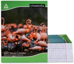 Classmate Notebook Regular Notebook Single Line 172 Pages (Multicolor, Pack of 12)