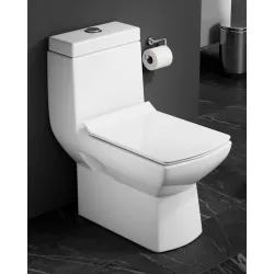 CLAYPLUS PREMIUM GRADE COVER WESTERN COMMODE