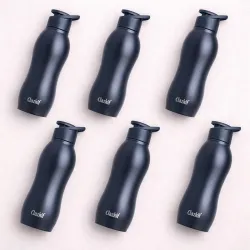 Clazkit Platina Stainless Steel Water Bottle