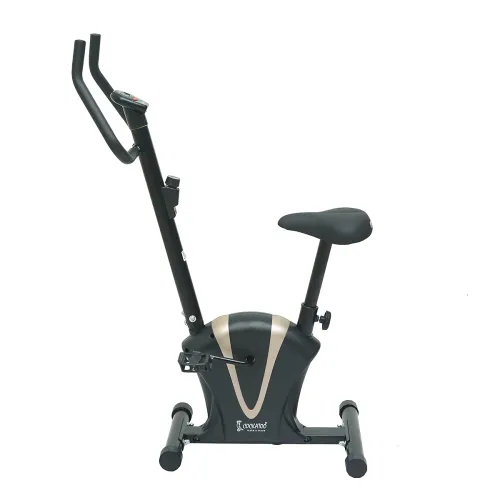 Image of Cockatoo CUB Home Use Series Upright Exercise Bike For Home Use (1 Year Warranty, DIY Installation)