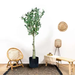 Cortina Artificial Olive Tree | 3 FT Tall Faux Plant | Anti-Tip Tilt Protection Low-Maintenance Plant | Green Fake Potte