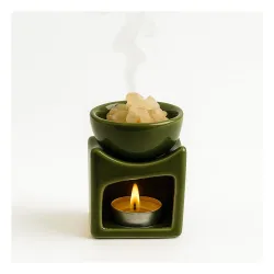 Cortina Ceramic Electric Wax Melt Warmer with Silicone Dish Fragrance Oil Burner for Wax Melts & Essential Oils Stylish for Home Bedroom Office Decor & Gift Use Color 2 (Warmer Only Wax Not....