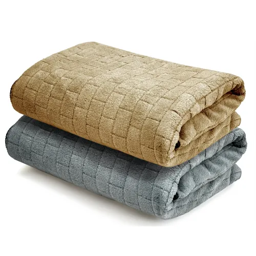 Image of Cortina 300 GSM Microfiber Bath Towels Set of 2