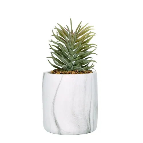 Image of Cortina Potted Plant Eco Sustainable Flower for Home - Multicolor-3