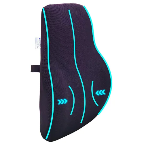 Image of COZYARDS Orthopedic Back Car Seat
