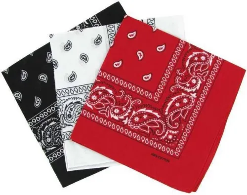 Image of CozyFox Printed Bandana (Pack of 3)