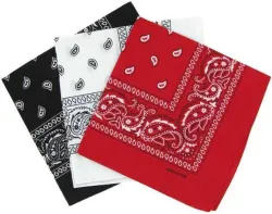 CozyFox Printed Bandana (Pack of 3)