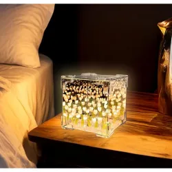 CRAE Mirror Cube Tulip Lamp
