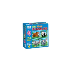 Creative Educational Puzzle