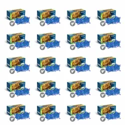 Crompton Galaxy Pixel Light | Festive Ladi Lights | 10 Meter | 48 LEDs | Blue