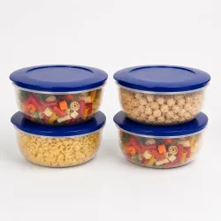 Cutting EDGE 900ml Eco Storage Container & Organizer Set of 4 (Dark Blue) | Plastic Material, 4 Piece Set, Capacity 900 ml, Kitchen, Refrigerator, Kitchen Storage