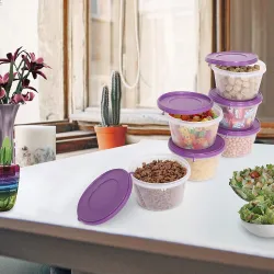 Cutting EDGE Nesterware 750ml Stackable Food Container (Set of 6, Purple)