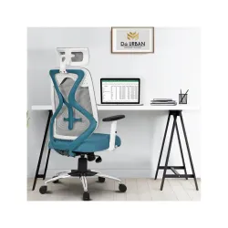 Da URBAN® Merlion Office Chair,High Back Mesh Ergonomic Home Office Desk Chair