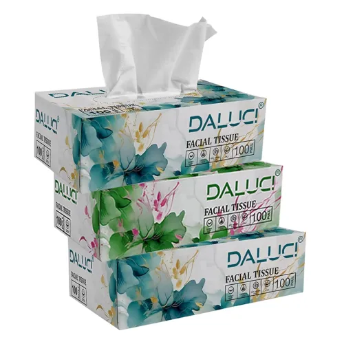 Image of DALUCI 2-Ply Car Facial Tissues (300 Pulls)