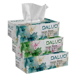 DALUCI 2-Ply Car Facial Tissues (300 Pulls)