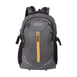 Dejan Trendy Medium 32 L Laptop Backpack High end Quality with Rain Cover