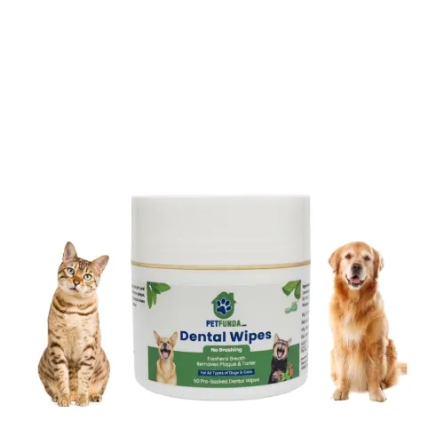 Image of Dental Wipes for Dogs & Cats