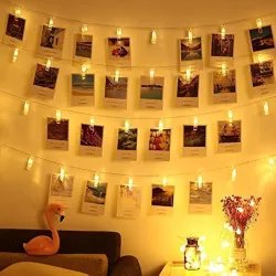 Desidiya 20 LED Photo Clip String Lights