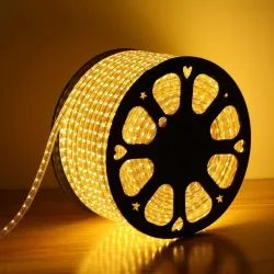 Desidiya 30M LED Rope Light (Warm White, Waterproof)