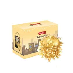 DesiDiya LED Pixel String Light 35ft (Power Serial)