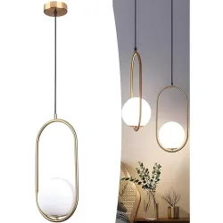 Desidiya Modern Pendant Light, Oval Globe Design with Gold Frame, Corded Electric