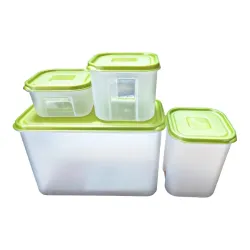 DIALUST Rectangular Plastic Fridge Storage Boxes, Set of 4