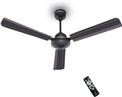 DIGISMART Storm BLDC Motor with Remote 1200 mm Ceiling Fan with 5 Year Warranty 