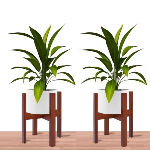 Image of Dime Store Wooden Plant Stand Set of 2 (Brown)