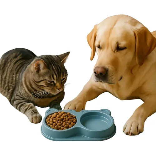 Image of Dog Bowl 2 in 1 | Teddy Bear Shaped Cute Feeding Bowl 