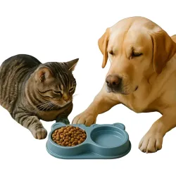 Dog Bowl 2 in 1 | Teddy Bear Shaped Cute Feeding Bowl 