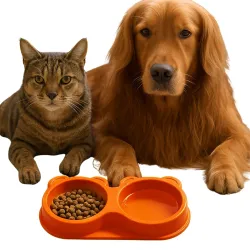 Dog Bowl 2 in 1 | Teddy Bear 