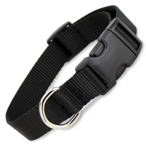 Image of Dog Collar for Small Metal D Ring Pack of 1