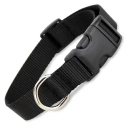 Dog Collar for Small Metal D Ring Pack of 1