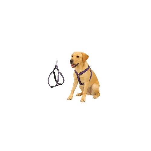 Image of Dog Harness No Pull 