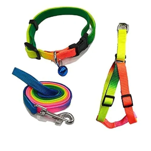 Image of Dog Trust Adjustable Nylon Puppy Collar, Harness & Leash Combo – 15mm