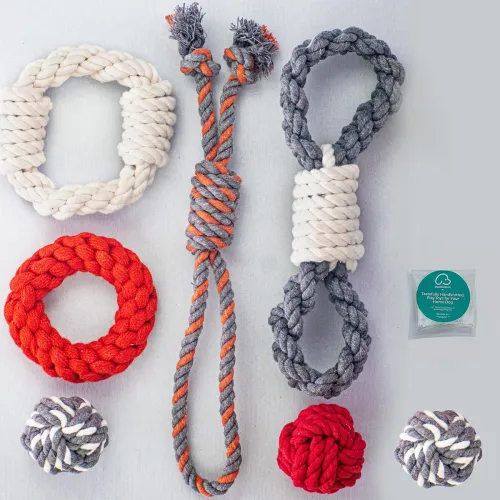 Image of DOGGIE DOG 9 in 1 Combo - Twisted Dog Toys (7 in 1 Twisted - Ultra Robust)