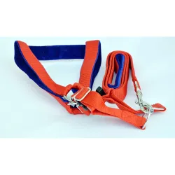 DOGISTA Mukhmal Dog Leash & Harness Set (Extra Large)