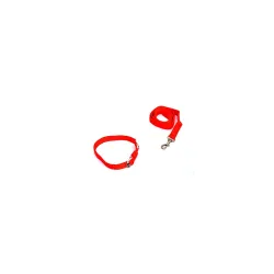 Dogista Nylon Dog Leash & Collar Set
