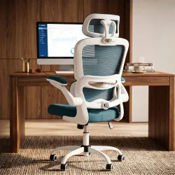 DROGO Aeroflex Ergonomic Office Chair for Work