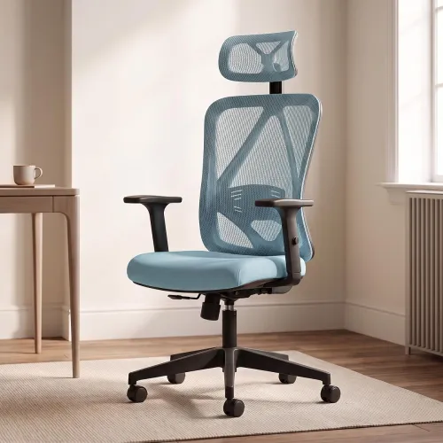 Image of DROGO Ergonaut Ergonomic Office Chair for Work from Home