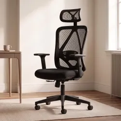 DROGO Ergonaut Ergonomic Office Chair for Work from Home