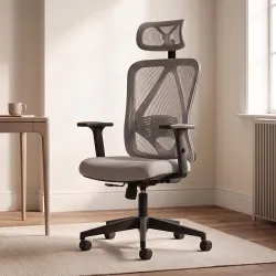 DROGO Ergonaut Ergonomic Office Chair for Work from Home