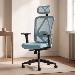 DROGO Ergonaut Ergonomic Office Chair for Work from Home