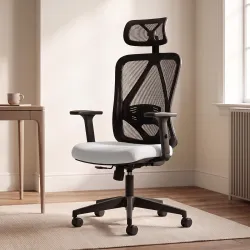 DROGO Ergonaut Ergonomic Office Chair