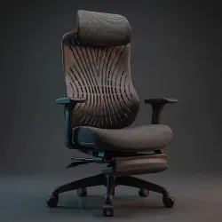 DROGO Feather Node Premium Ergonomic Office Chair with Footrest