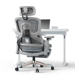 DROGO Mesh Ergo Flow Luxury Ergonomic Office Chair for Work from Home with Patented Flow Technology,4D Armrest with Wired Cable Mechanism,3D Headrest & Lumbar Support,Gaming Chair with Recline (Grey)