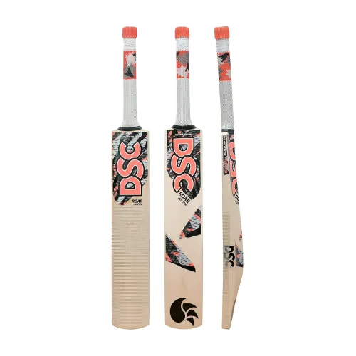 Image of DSC Roar Hunter Kashmir Willow Cricket Bat