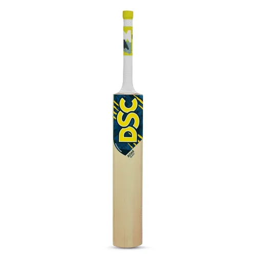 Image of DSC Roar Blast Kashmir Willow Cricket Bat